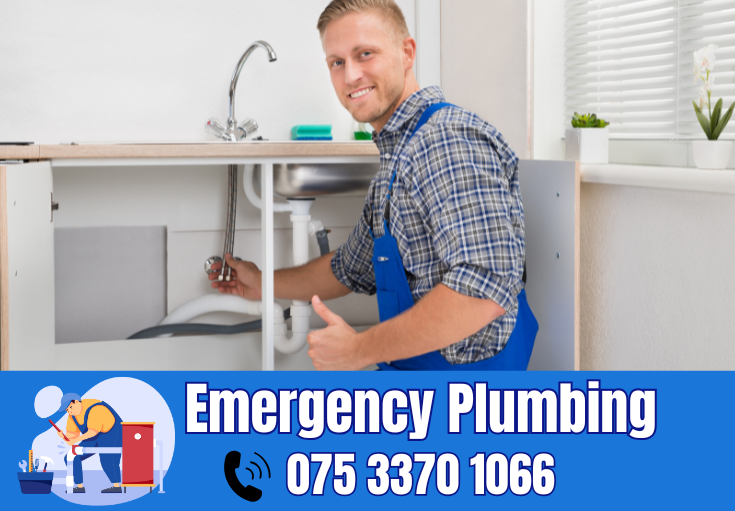  plumber Laddingford