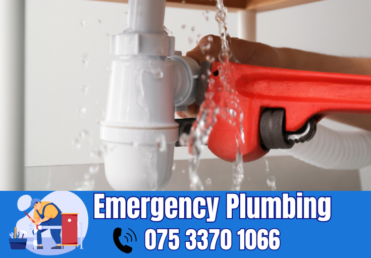 plumber Brenchley